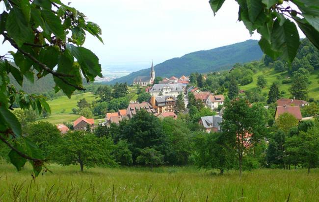 Hotel Du Haut Koenigsbourg- Entre Vignes Et Chateau Танненкирш Экстерьер фото