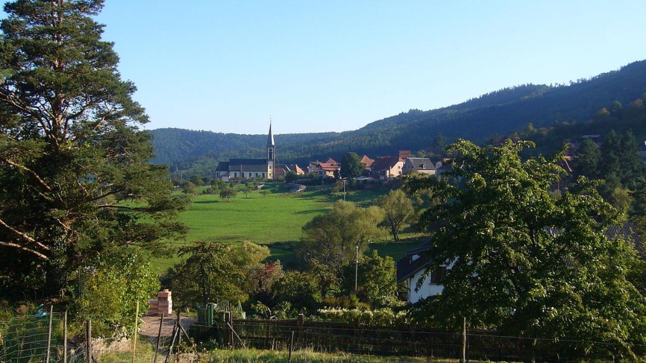 Hotel Du Haut Koenigsbourg- Entre Vignes Et Chateau Танненкирш Экстерьер фото