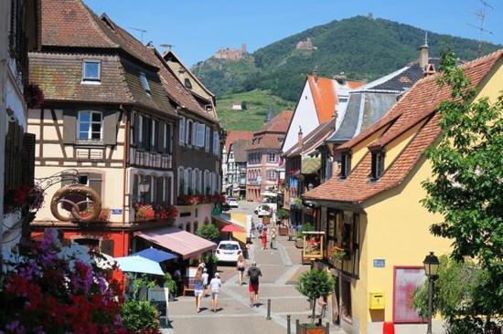 Hotel Du Haut Koenigsbourg- Entre Vignes Et Chateau Танненкирш Экстерьер фото
